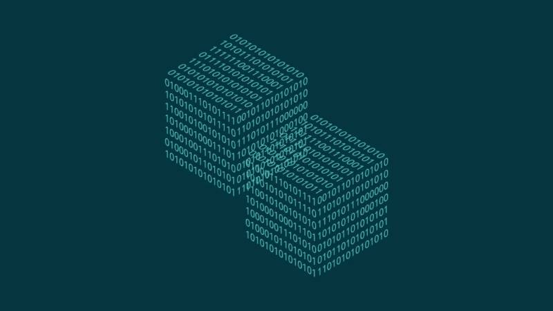 港口区信创改造：网络应用开发流程标准化的核心路径与实践